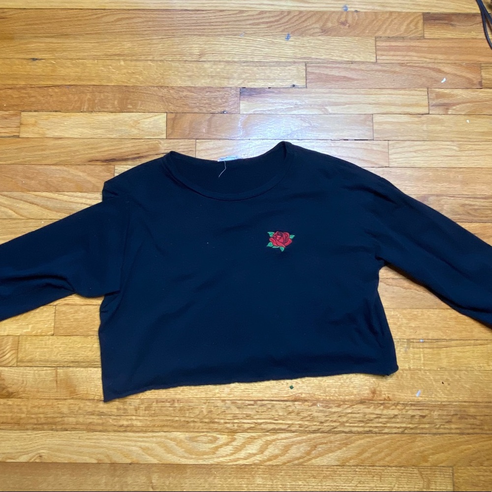 Long Sleeve Embroidered Crop Top